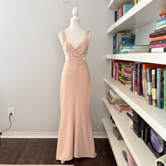 SIGNIFICANT OTHER EVIE DRESS IN BLUSH PINK size 6 NWT - Picture 4 of 16